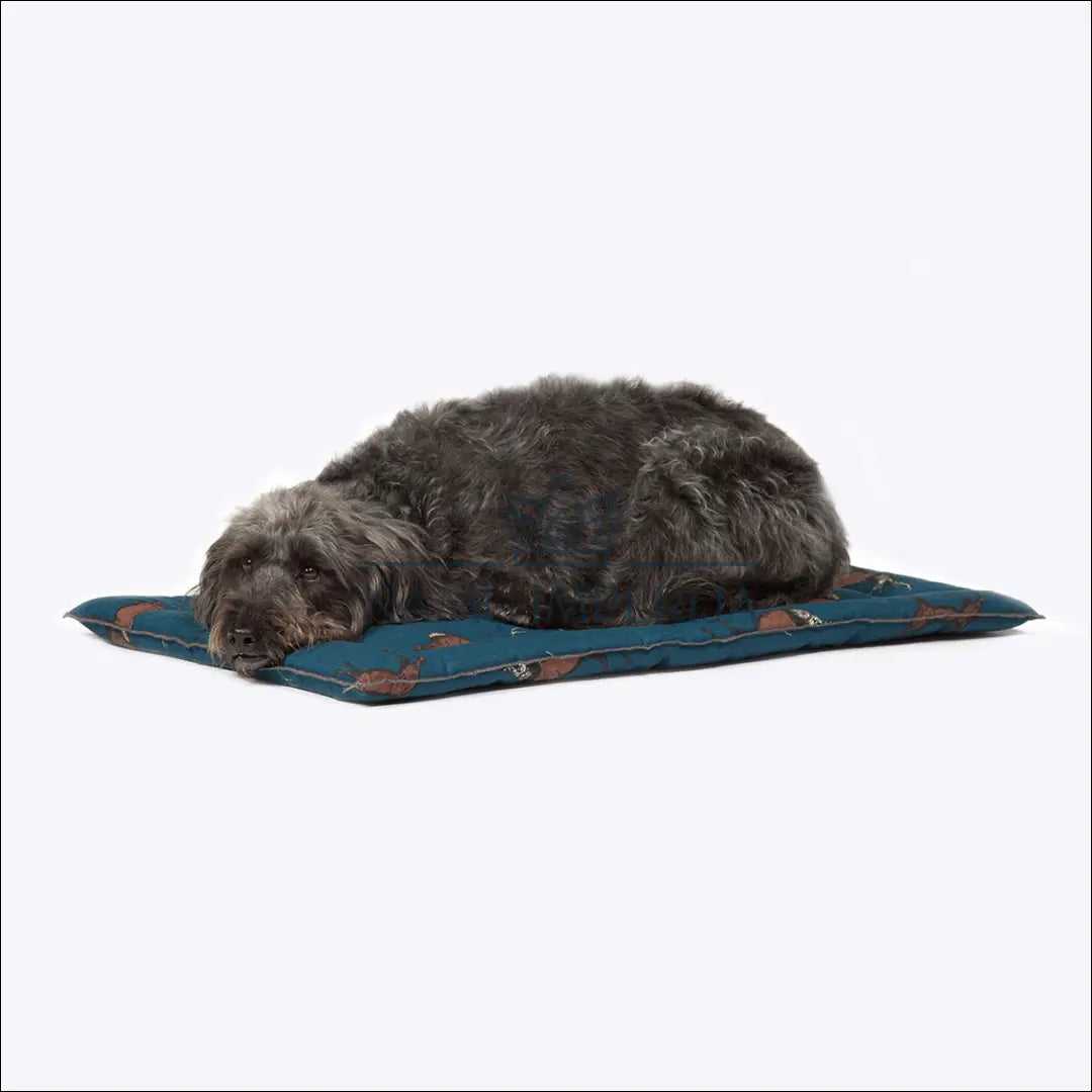 Guolis augintiniui DI9538 - €42 Save 50% 25-50, __label:Pristatymas 1-2 d.d., color-marga, color-margas, color-melyna
