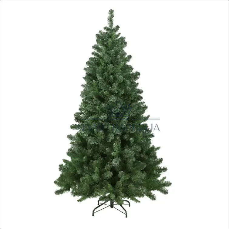 Kalėdinė eglutė (120cm) DI2721 - €36 Save 50% 25-50, __label:Pristatymas 1-2 d.d., color-zalia, kaledos,