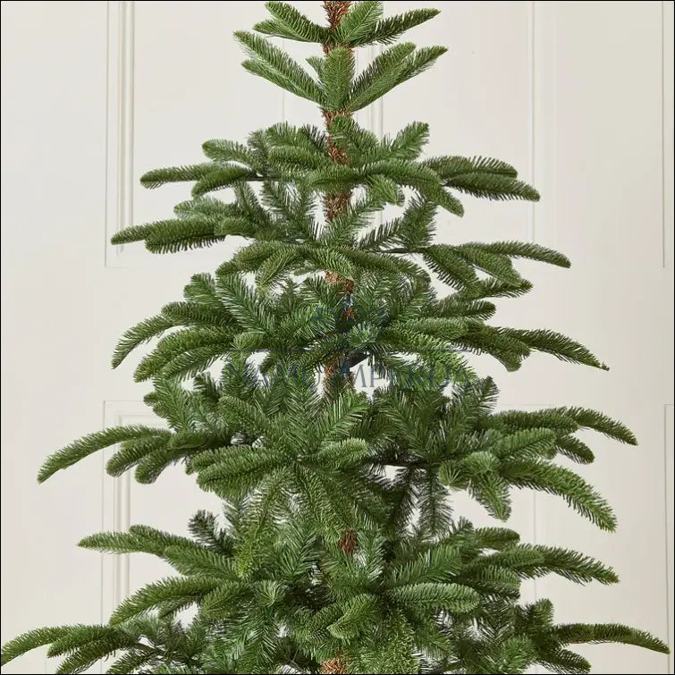 Kalėdinė eglutė (210cm) DI5245 - €160 Save 50% 100-200, __label:Pristatymas 1-2 d.d., color-zalia, kaledos,