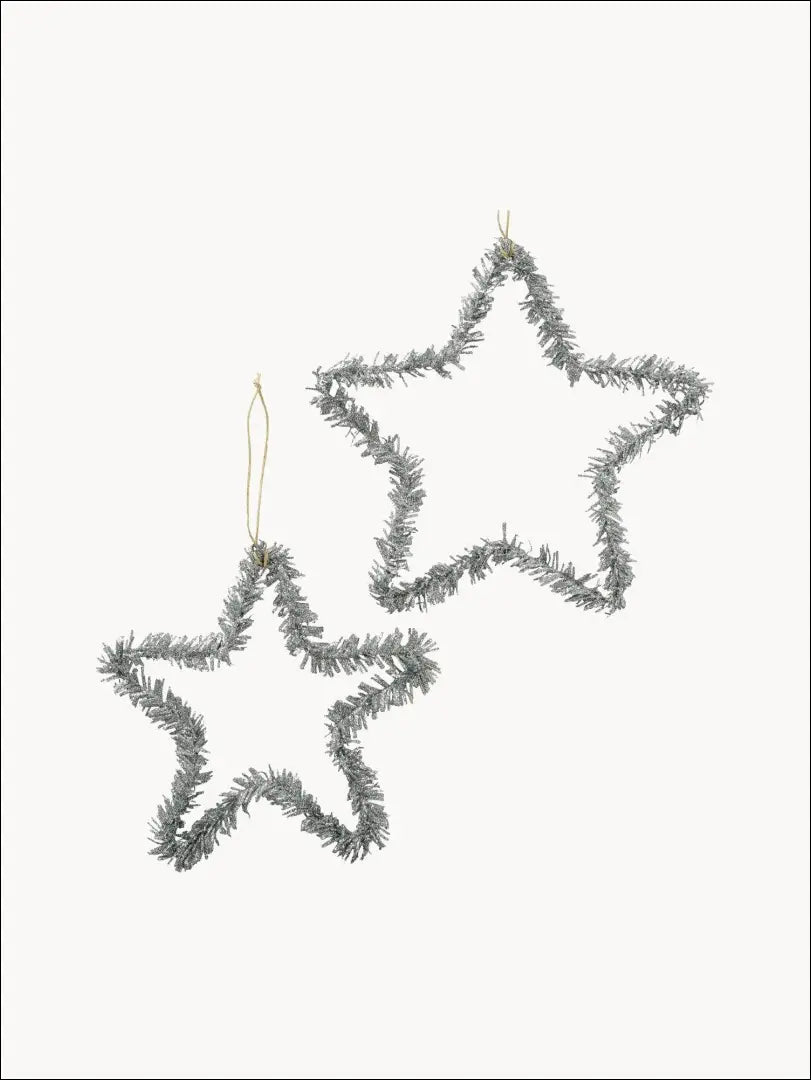 Kalėdinių žaisliukų komplektas (2vnt) DI4858 - €2 Save 65% __label:Pristatymas 1-2 d.d., color-sidabrine, kaledos,