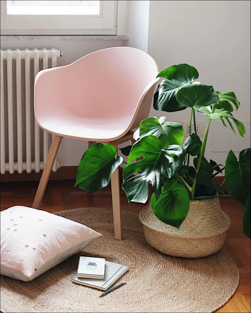 Kėdė VI282 - €41 Save 75% 25-50, __label:Pristatymas 1-2 d.d., color-rozine, kedes-valgomojo, material-medzio-masyvas
