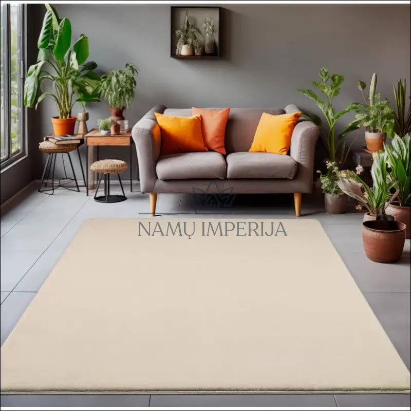 Kilimas NI2581 - €57 Save 30% 100-200, 50-100, __label:Pristatymas 5-14 d.d., ayy, color-kremas 80 x 150 cm / Kremas