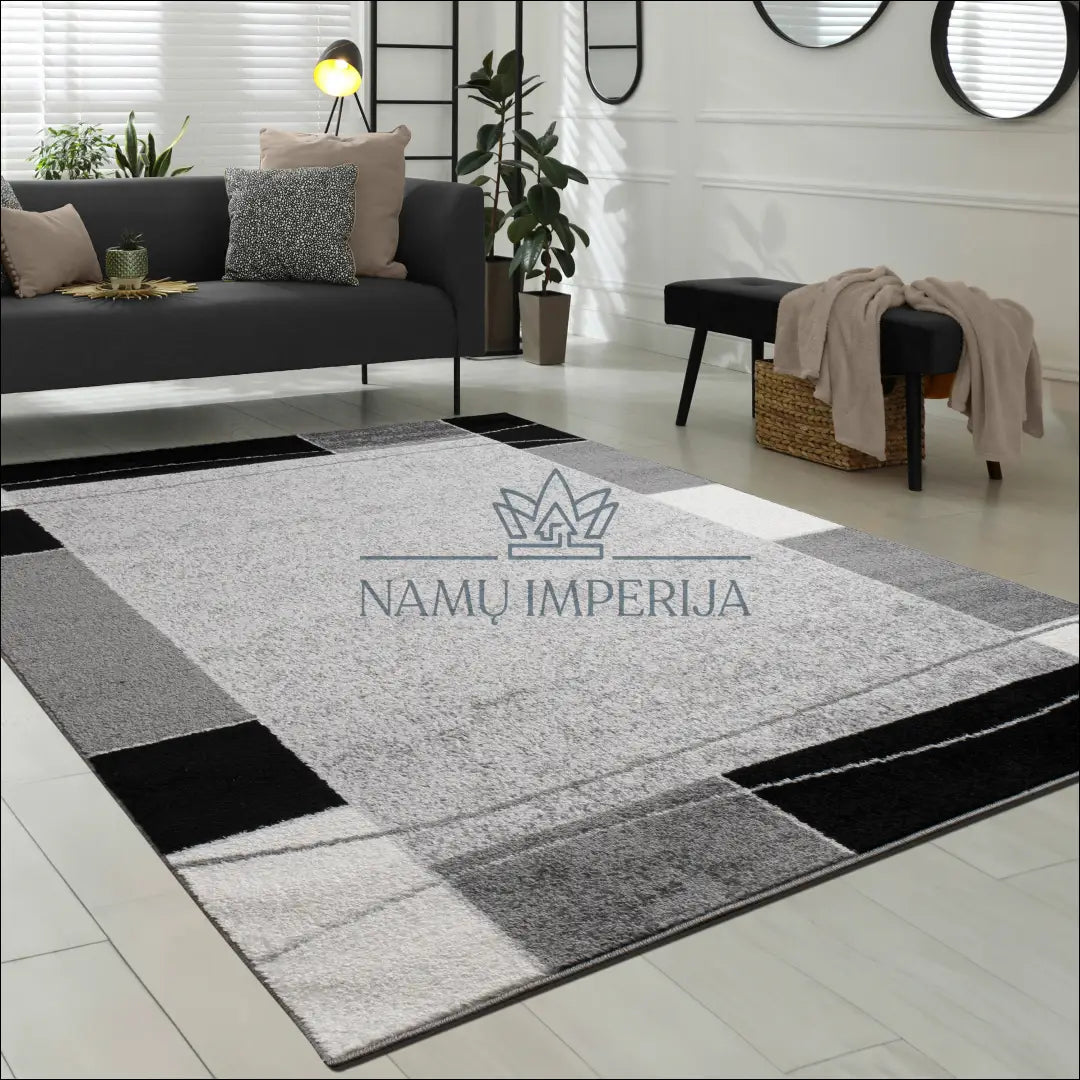 Kilimas NI3282 - 100-200, 25-50, 50-100, __label:Pristatymas 5-14 d.d., ayy Kilimai | Namų imperija Fast shipping