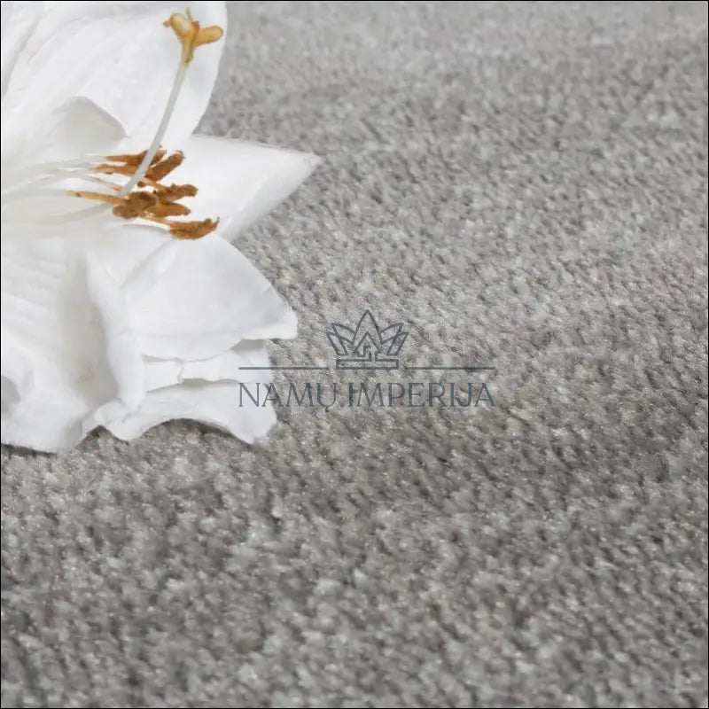Kilimas NI3282 - 100-200, 25-50, 50-100, __label:Pristatymas 5-14 d.d., ayy Kilimai | Namų imperija Fast shipping