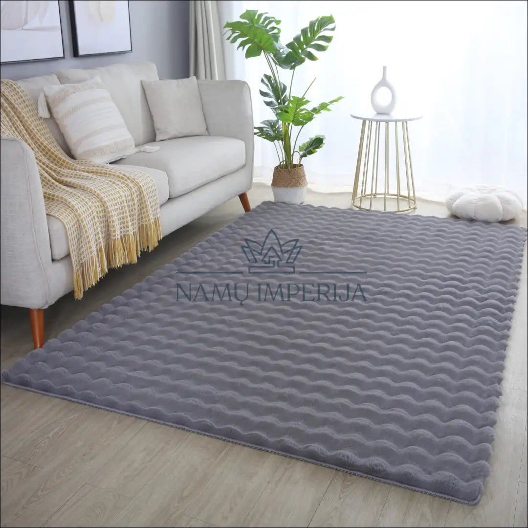 Kilimas NI2683 - €57 Save 30% 100-200, 50-100, __label:Pristatymas 5-14 d.d., ayy, color-pilka 80 x 150 cm / Pilka