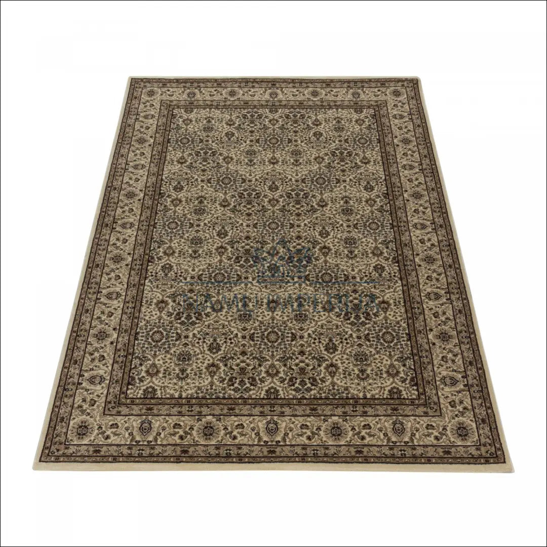 Kilimas NI2373 - 100-200, 25-50, 50-100, __label:Pristatymas 5-14 d.d., ayy Kilimai | Namų imperija Fast shipping