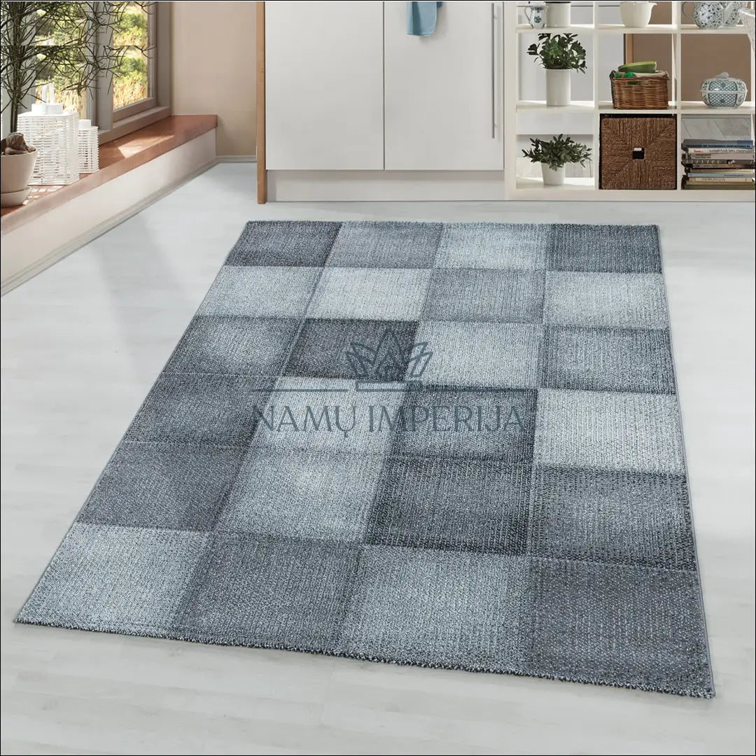 Kilimas NI2091 - €53 Save 30% -30% , 100-200, 50-100, __label:Pristatymas 5-14 d.d., ayy 80 x 150 cm / Pilka