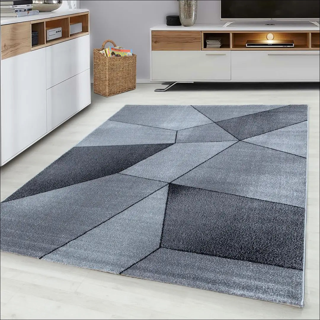 Kilimas NI2109 - €75 Save 30% 100-200, 50-100, __label:Pristatymas 5-14 d.d., ayy, color-pilka 120 x 170 cm / Pilka
