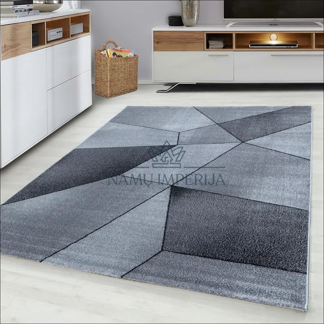 Kilimas NI2109 - €53 Save 30% 100-200, 50-100, __label:Pristatymas 5-14 d.d., ayy, ayy2 80 x 150 cm / Pilka