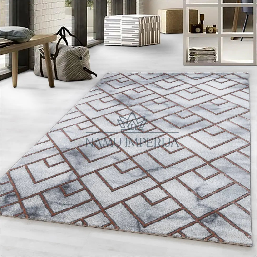 Kilimas NI2139 - €55 Save 30% 100-200, 50-100, __label:Pristatymas 5-14 d.d., ayy, color-pilka 80 x 150 cm / Pilka
