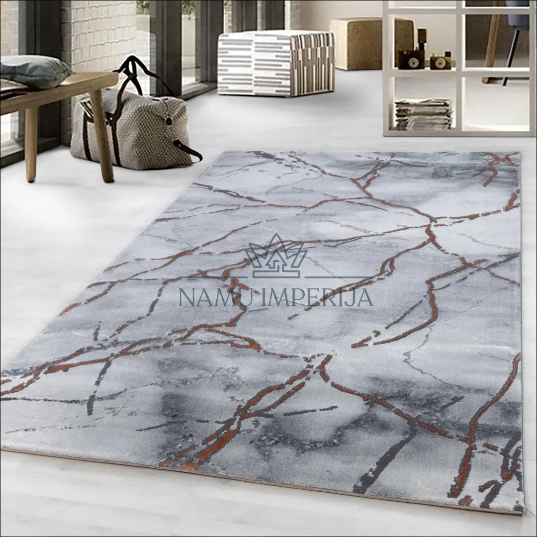 Kilimas NI2145 - €55 Save 30% 100-200, 50-100, __label:Pristatymas 5-14 d.d., ayy, color-pilka 80 x 150 cm / Pilka