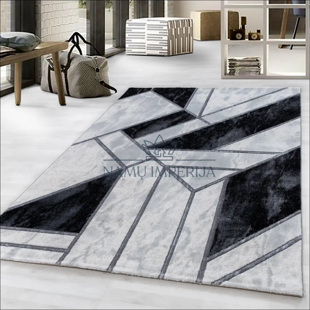 Kilimas NI2153 - €55 Save 30% 100-200, 50-100, __label:Pristatymas 5-14 d.d., ayy, color-juoda 80 x 150 cm / Sidabrinė