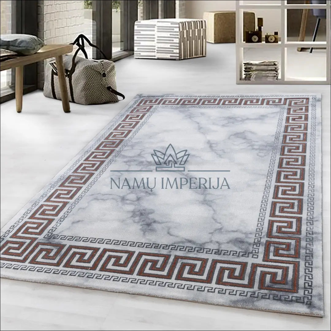 Kilimas NI2154 - €94 Save 30% 100-200, 50-100, __label:Pristatymas 5-14 d.d., ayy, color-pilka 120 x 170 cm / Pilka
