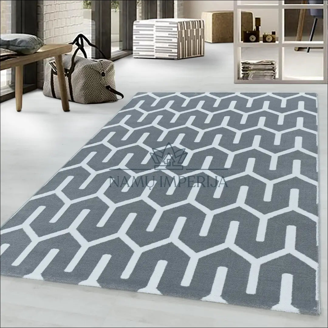 Kilimas NI2278 - €44 Save 30% 100-200, 25-50, 50-100, __label:Pristatymas 5-14 d.d., ayy 80 x 150 cm / Pilka