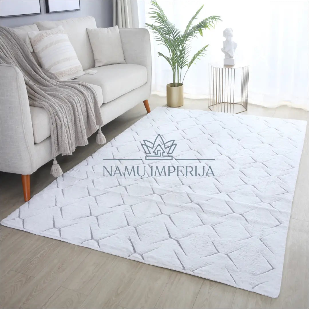 Kilimas NI2510 - €57 Save 30% 100-200, 50-100, ayy, color-balta, color-sidabrine 80 x 150 cm Kilimai | Namų imperija