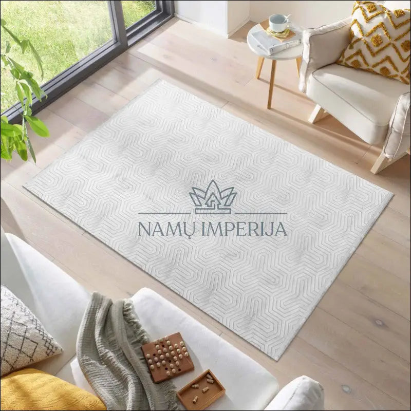 Kilimas NI2529 - €57 Save 30% 100-200, 50-100, __label:Pristatymas 5-14 d.d., ayy, color-pilka 80 x 150 cm / Sidabrinė