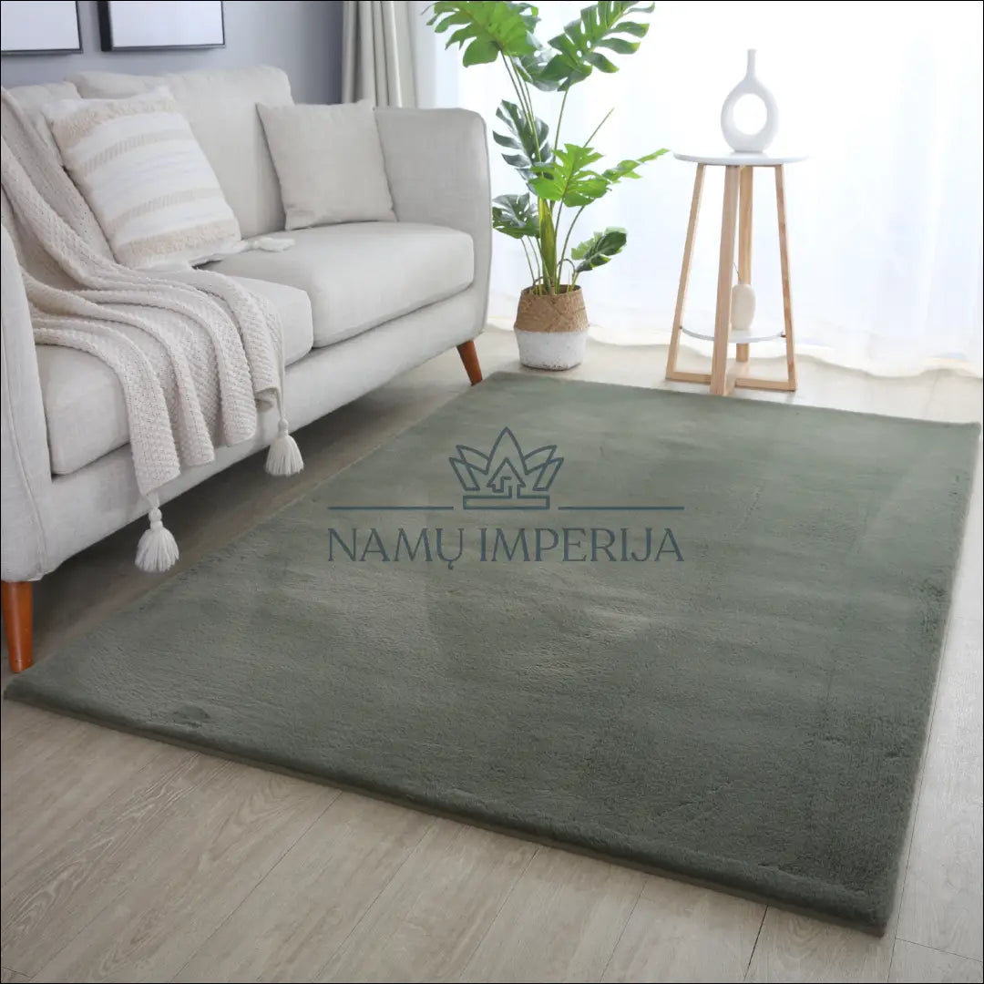 Kilimas NI2557 - €27 Save 30% 100-200, 25-50, 50-100, apvalus, ayy 60 x 110 cm Kilimai | Namų imperija Fast shipping