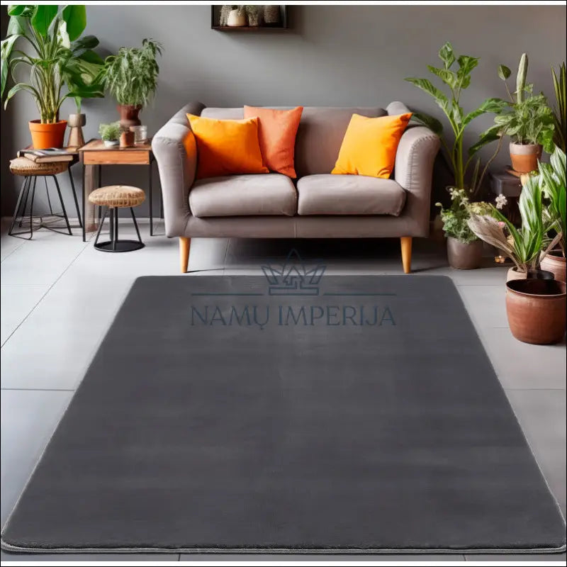 Kilimas NI2580 - €57 Save 30% 100-200, 50-100, ayy, color-pilka, kilimai 80 x 150 cm Kilimai | Namų imperija Fast