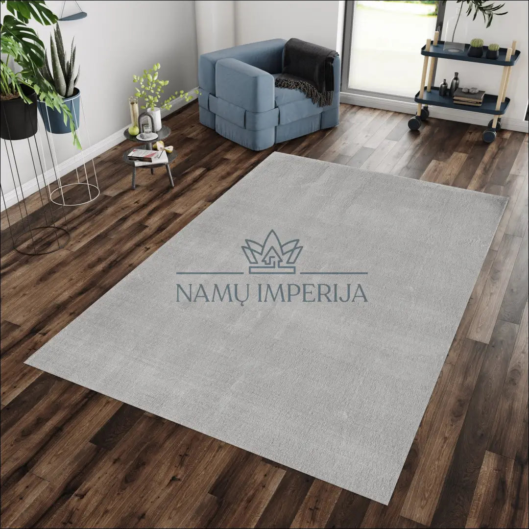 Kilimas NI2661 - €22 Save 25% 100-200, 25-50, 50-100, __label:Pristatymas 5-14 d.d., ayy 60 x 100 cm / Pilka