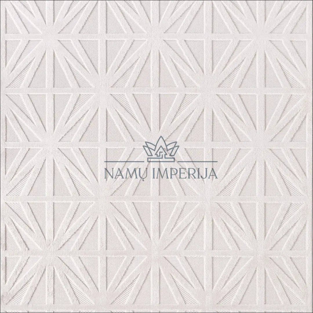 Kilimas NI2723 - 100-200, 25-50, 3D Design, 50-100, Fibrilliert Yarn Kilimai | Namų imperija Fast shipping