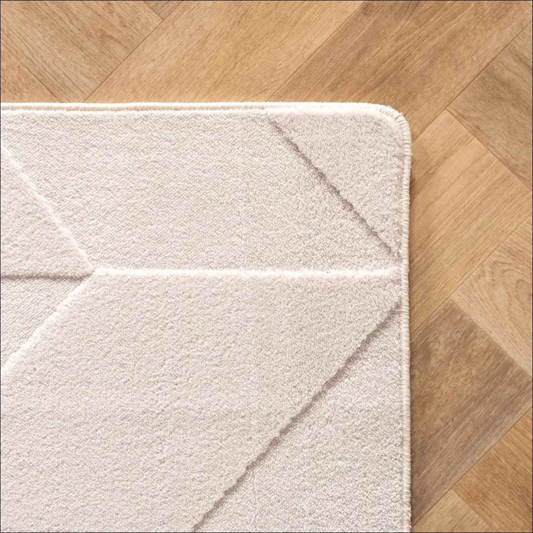 Kilimas NI2924 - ayy2026new, Baumwolle, Geometrisch, Kurzflor Teppich, Läufer | Namų imperija Fast shipping