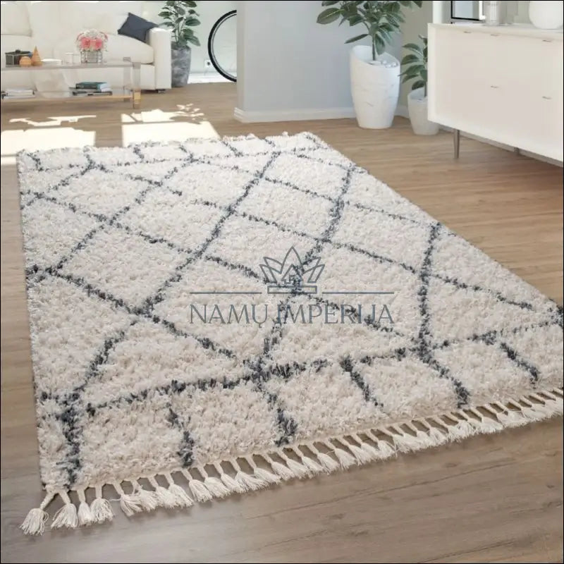 Kilimas NI3058 - €117 Save 15% 100-200, 50-100, __label:Pristatymas 5-14 d.d., ayy, Berber Rug Oriental Design