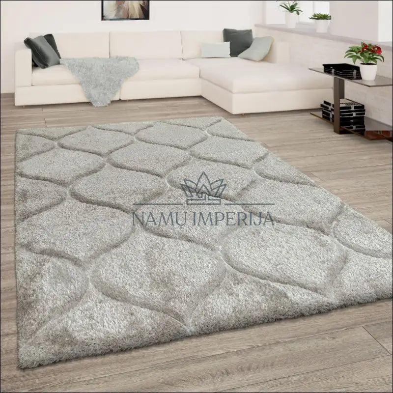 Kilimas NI3199 - €60 Save 20% __label:Pristatymas 5-14 d.d., ayy, color-pilka, Deep-ilgaplaukiai Rug Fluffy Wave