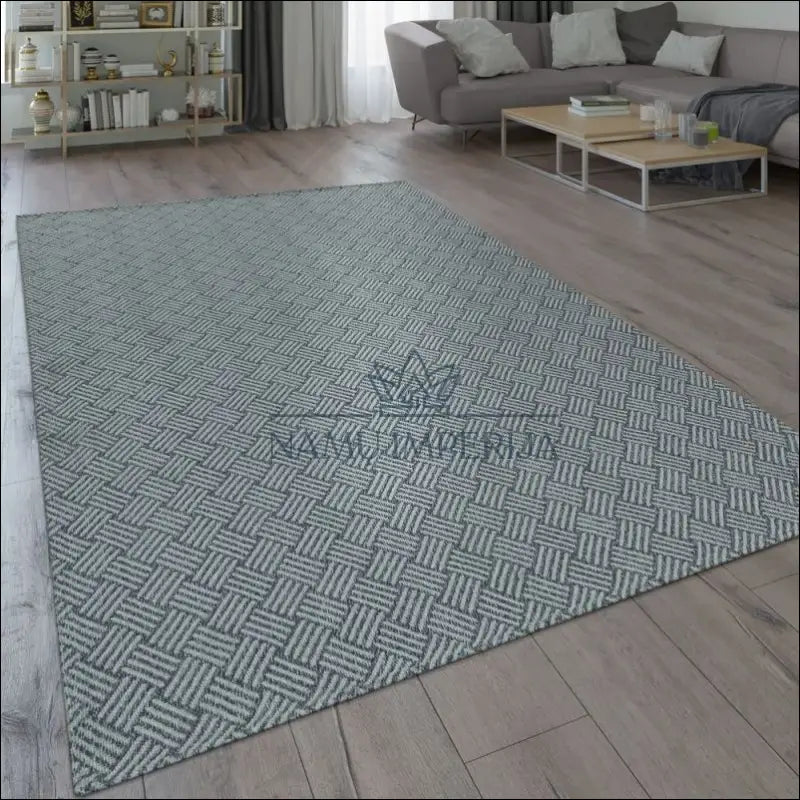 Kilimas NI3299 - €49 Save 15% 100-200, 25-50, 50-100, __label:Pristatymas 5-14 d.d., ayy 60 x 100 cm / Pilka / Medvilnė