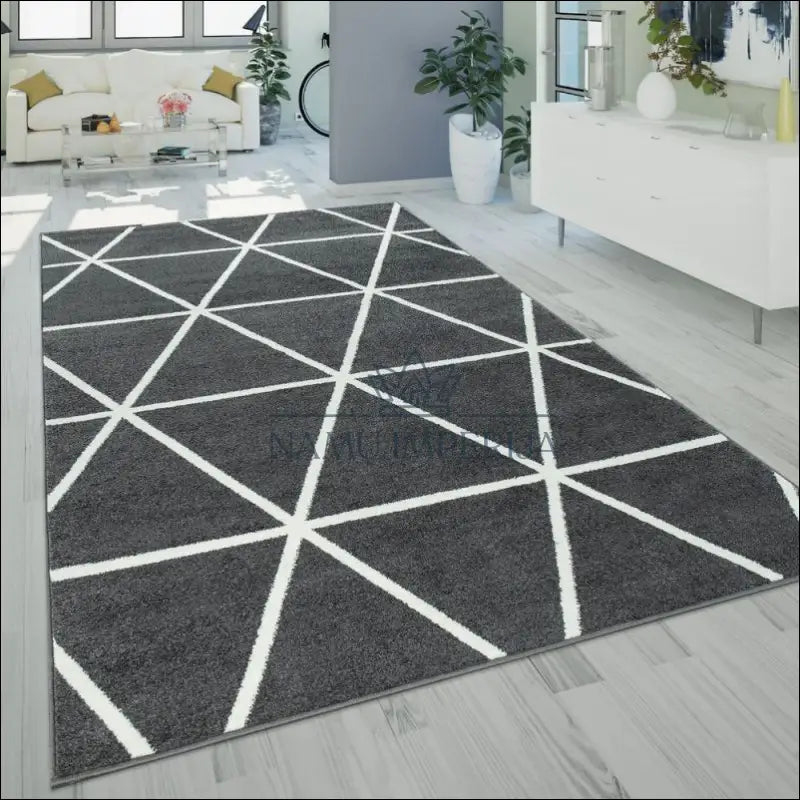 Kilimas NI3460 - €94 Save 15% 100-200, 50-100, __label:Pristatymas 5-14 d.d., ayy, color-Anthracite 120 x 170 cm