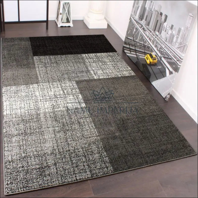 Kilimas NI3581 - €63 Save 15% 100-200, 50-100, __label:Pristatymas 5-14 d.d., ayy, color-pilka 60 cm x 110 / Pilka