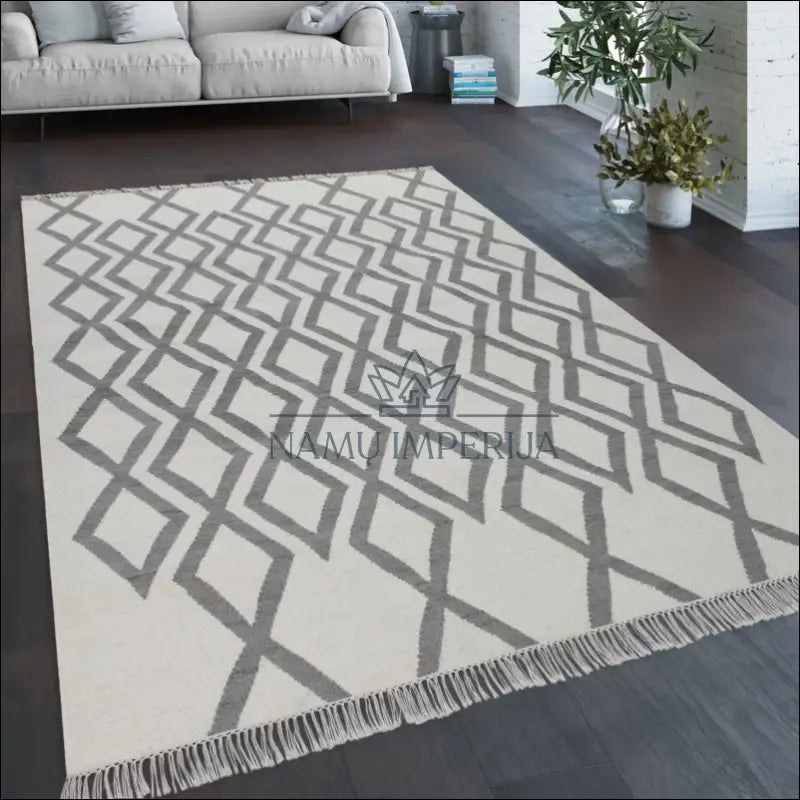 Kilimas NI3727 - €161 Save 15% 100-200, 50-100, __label:Pristatymas 5-14 d.d., ayy, color-pilka 120 x 170 cm Kilimai