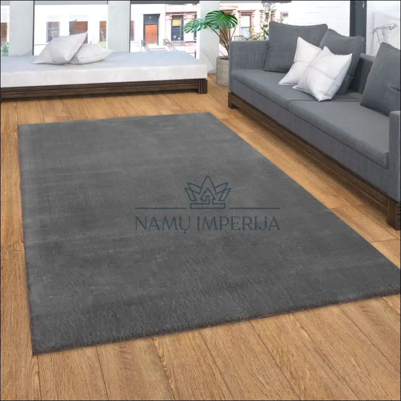 Kilimas NI3762 - €83 Save 15% 100-200, 50-100, __label:Pristatymas 5-14 d.d., ayy, color-Anthracite 120 x 170 cm