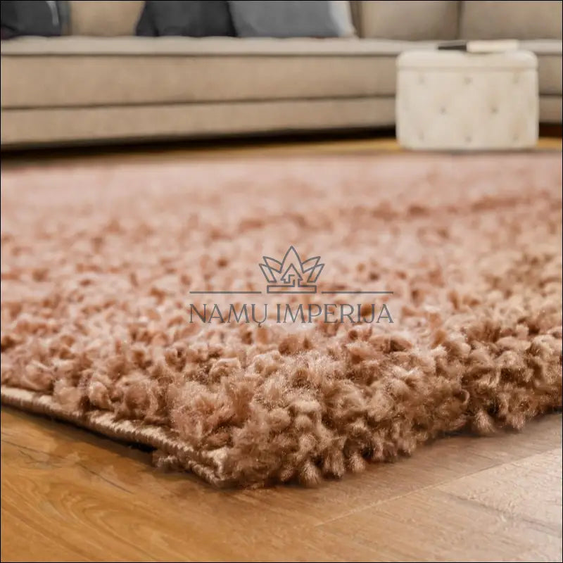 Kilimas NI3829 - 100-200, 25-50, 50-100, __label:Pristatymas 5-14 d.d., ayy Kilimai | Namų imperija Fast shipping
