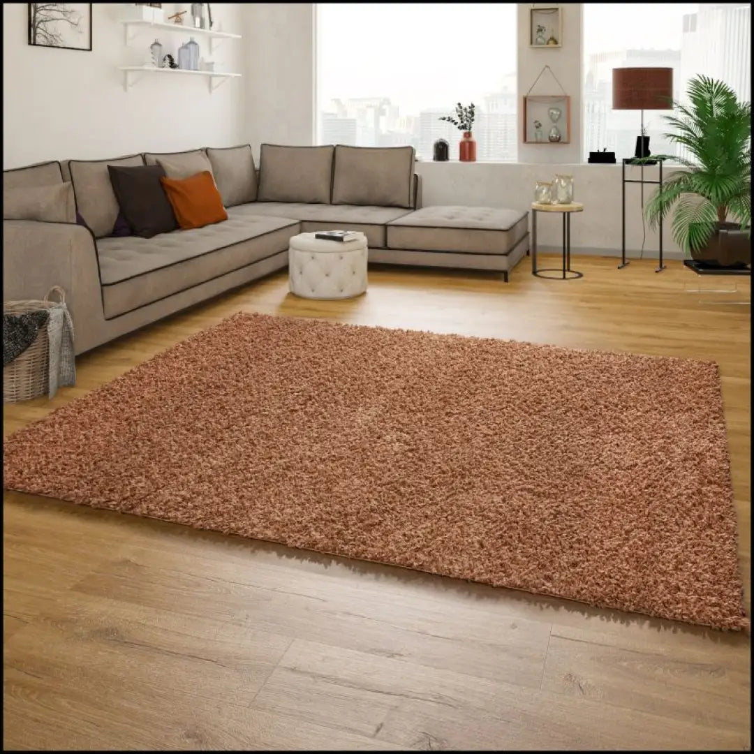 Kilimas NI3829 - 100-200, 25-50, 50-100, __label:Pristatymas 5-14 d.d., ayy Kilimai | Namų imperija Fast shipping