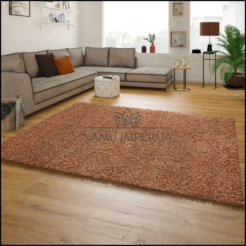 Kilimas NI3829 - 100-200, 25-50, 50-100, __label:Pristatymas 5-14 d.d., ayy Kilimai | Namų imperija Fast shipping