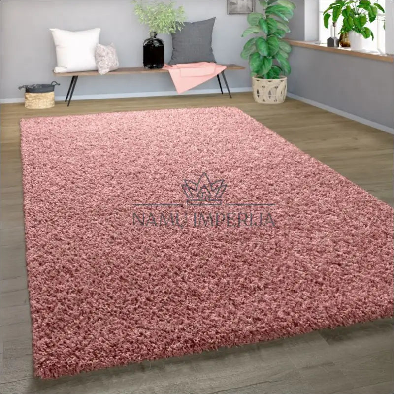 Kilimas NI3851 - 100-200, 25-50, 50-100, __label:Pristatymas 5-14 d.d., ayy Kilimai | Namų imperija Fast shipping