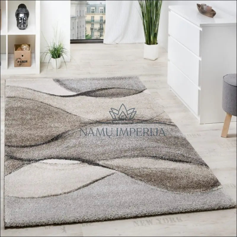 Kilimas NI3932 - €110 Save 20% 100-200, 50-100, ayy, color-pilka, kilimai 120 x 170 cm Kilimai | Namų imperija Fast