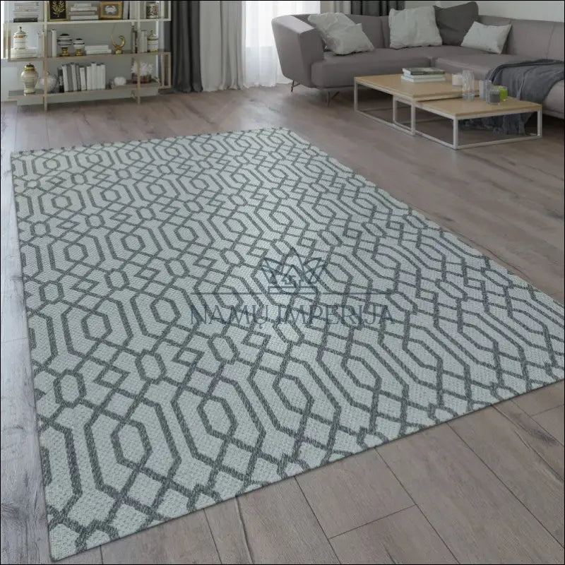 Kilimas NI4008 - €77 Save 15% 100-200, 25-50, 50-100, __label:Pristatymas 5-14 d.d., color-Grau 120x160 cm / Pilka