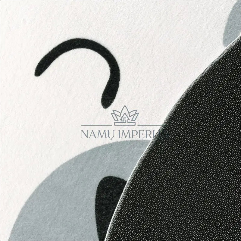 Kilimas NI4029 - 100-200, 50-100, __label:Pristatymas 5-14 d.d., color-Grau, kilimai Kilimai | Namų imperija Fast