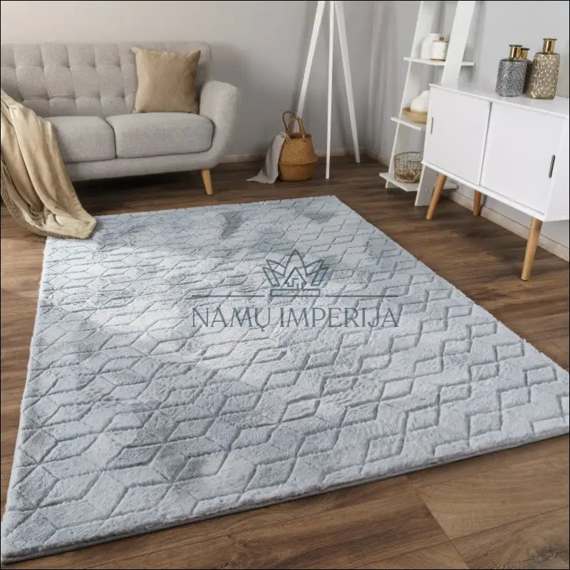 Kilimas NI4065 - €145 Save 15% 100-200, 50-100, color-Grau, kilimai, newdiva2 120x160 cm / Pilka Kilimai | Namų