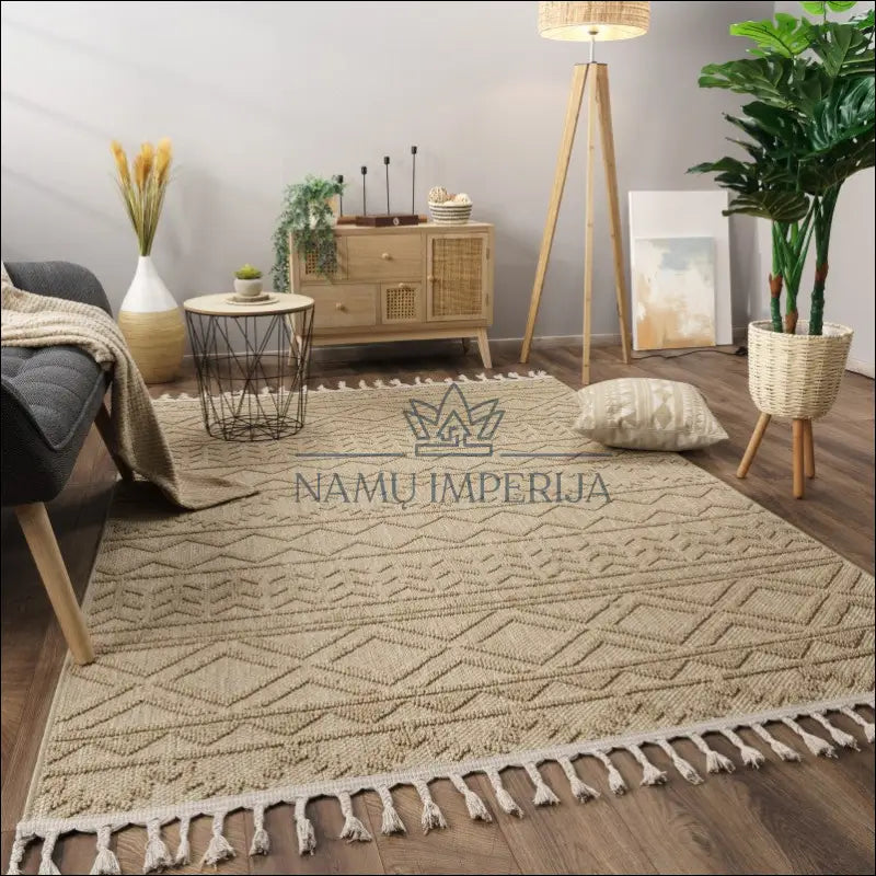 Kilimas NI4082 - €114 Save 15% 100-200, 50-100, __label:Pristatymas 5-14 d.d., color-smelio, kilimai 120x160 cm