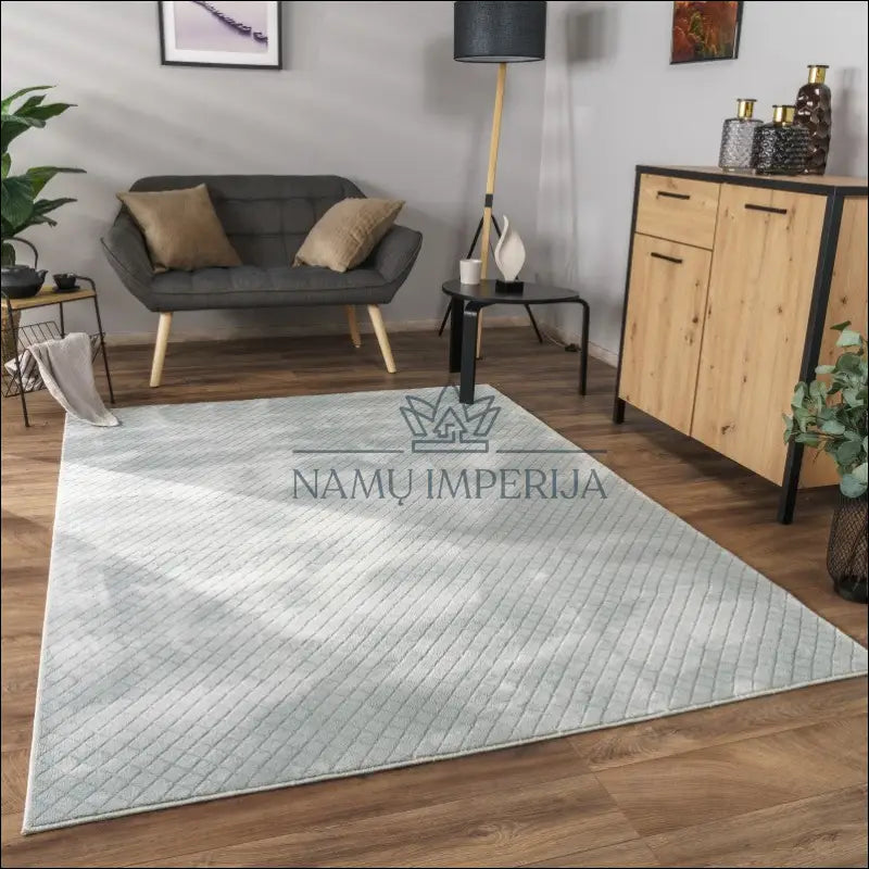 Kilimas NI4087 - €106 Save 15% 100-200, 50-100, color-Grau, kilimai, newdiva2 120x160 cm / Pilka Kilimai | Namų