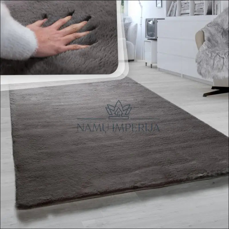 Kilimas NI4477 - €59 Save 15% 100-200, 50-100, __label:Pristatymas 5-14 d.d., color-Charcoal, kilimai 60 cm x 90