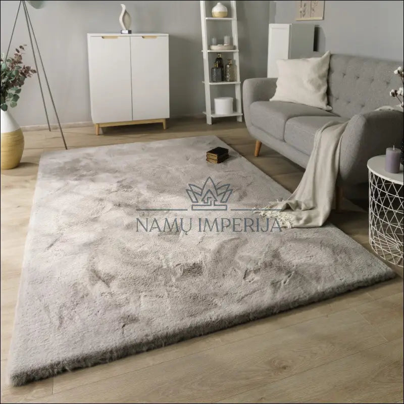 Kilimas NI4502 - €114 Save 15% 100-200, 50-100, __label:Pristatymas 5-14 d.d., color-pilka, kilimai 80 x 150 cm / Pilka