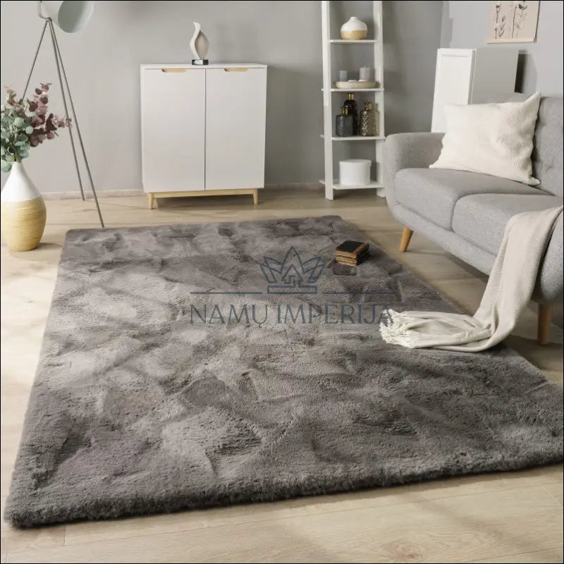 Kilimas NI4505 - €114 Save 15% 100-200, 50-100, __label:Pristatymas 5-14 d.d., color-Anthracite, kilimai 80 x 150 cm