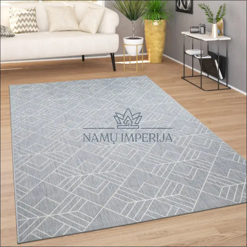 Kilimas NI4797 - €87 Save 15% 100-200, 25-50, 50-100, __label:Pristatymas 5-14 d.d., color-pilka 120 x 170 cm / Pilka