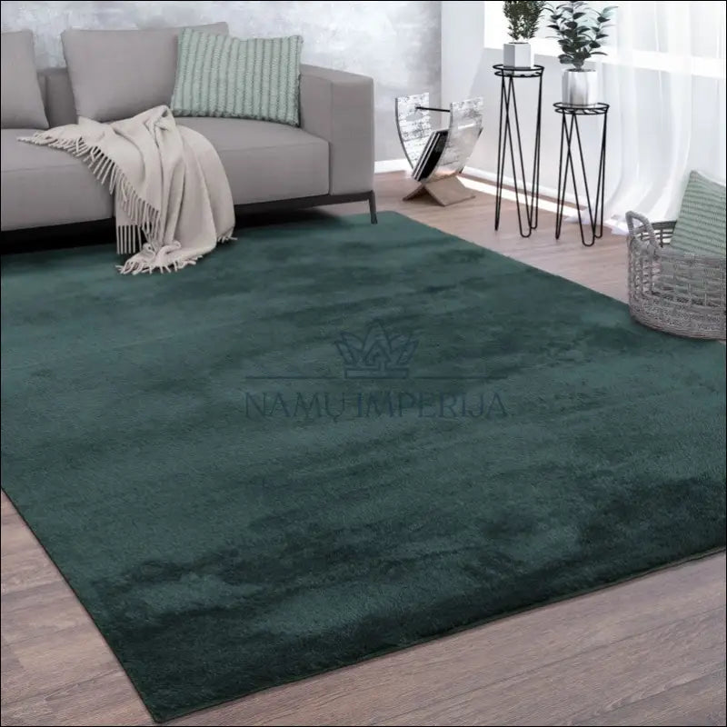 Kilimas NI4817 - €83 Save 15% 100-200, 50-100, __label:Pristatymas 5-14 d.d., color-zalia, kilimai 120 x 170 cm / Žalia