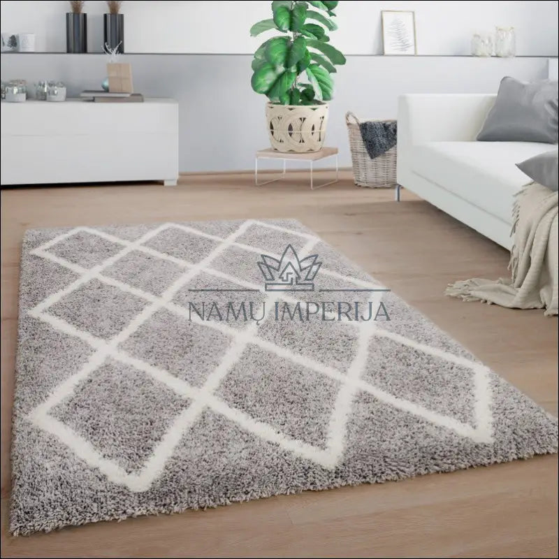 Kilimas NI5180 - €55 Save 15% 100-200, 50-100, __label:Pristatymas 5-14 d.d., color-pilka-White, ilgaplaukiai 60 cm x