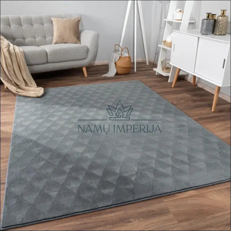 Kilimas NI5830 - €114 Save 15% 100-200, 50-100, __label:Pristatymas 5-14 d.d., color-Anthracite, kilimai 120x160 cm