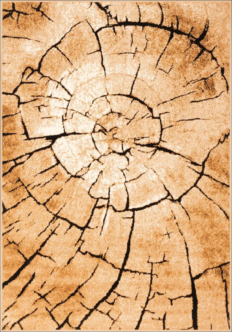 Kilimas RU1126 - €39 Save 50% 25-50, __label:Pristatymas 1-2 d.d., color-ruda, color-smelio, kilimai 80 cm x 150 / Ruda